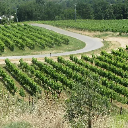 Winery In Chianti 3* Mercatale Val Di Pesa