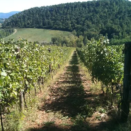 Winery In Chianti Aparthotel